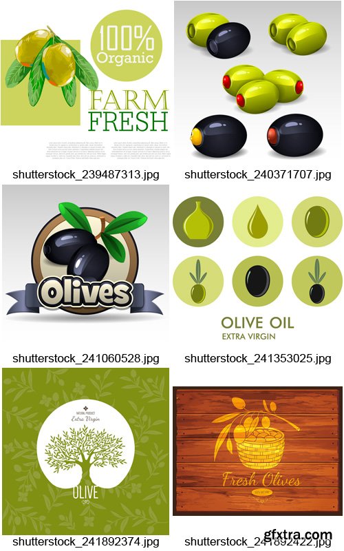 Amazing SS - Olive Oil Design 2, 25xEPS