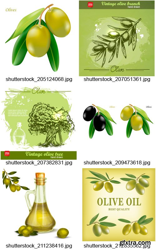 Amazing SS - Olive Oil Design 2, 25xEPS