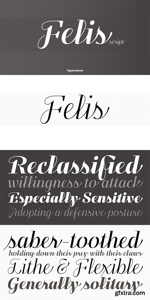 Felis Font Family - 5 Font $13