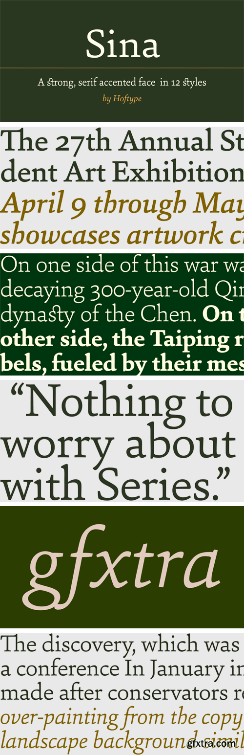 Sina Font Family - 12 Font for $198