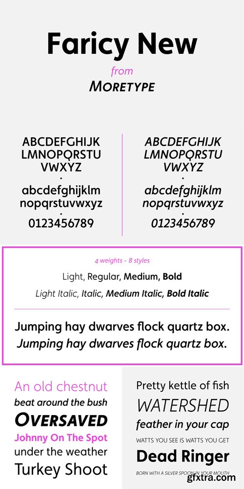 Faricy New Font Family $160