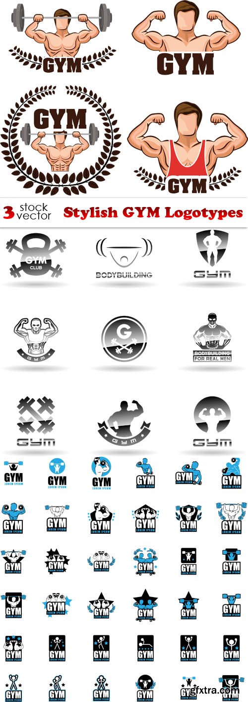 Vectors - Stylish GYM Logotypes