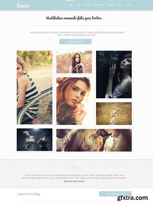 DreamTemplate - Taveo - Boostrap Template