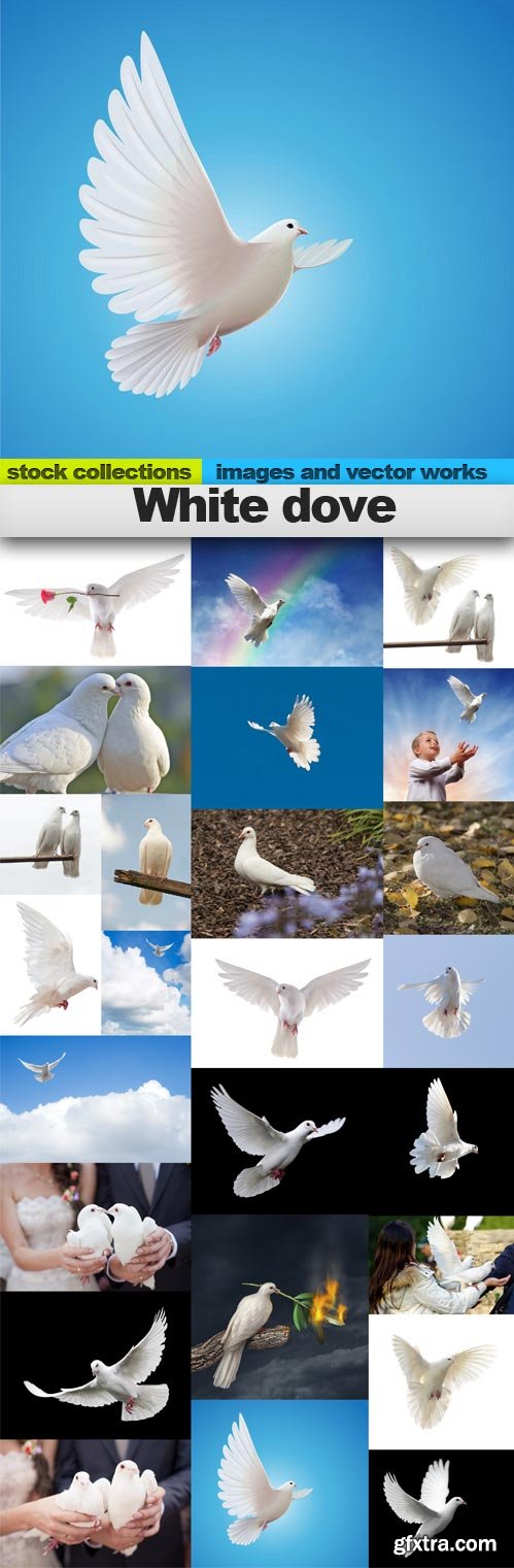 White dove, 25 x UHQ JPEG