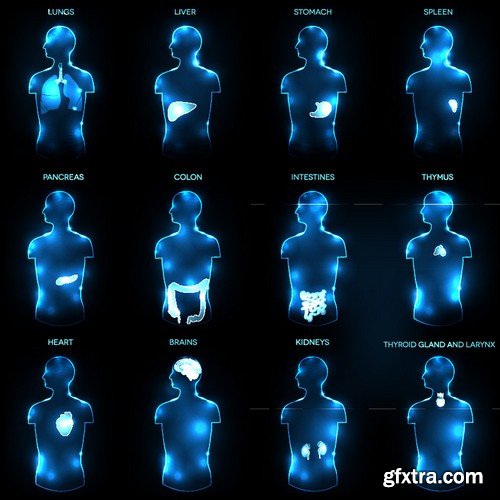 Stock Vectors - Medical background 7, 25xEPS