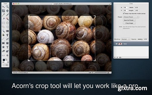 Flying Meat Acorn 4.5.4 (Mac OS X)