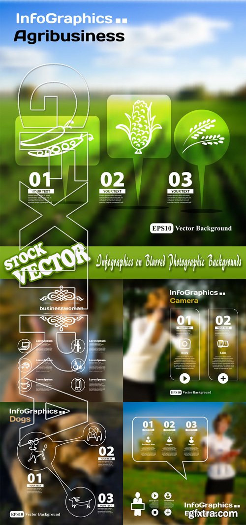 Stock Vector - Infographics on Blurred Photographic Backgrounds