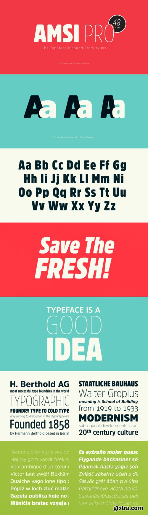 Amsi Pro Font Family $229