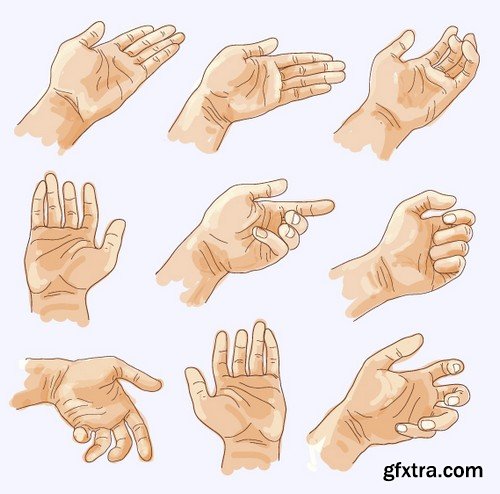 Stock Vectors - Realistically painted hands, 25xEPS