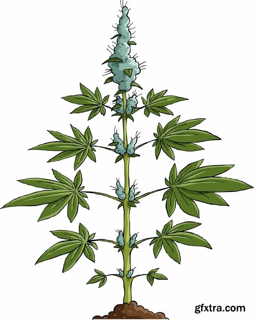 Collection of vector image marijuana-cannabis 25 Eps