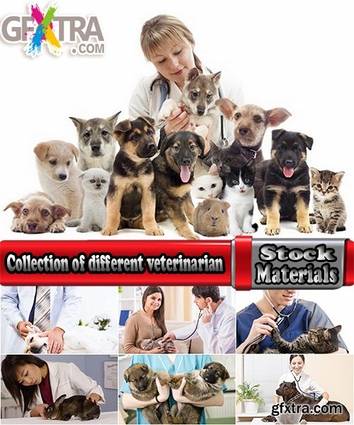 Collection of different veterinarian 25 HQ Jpeg