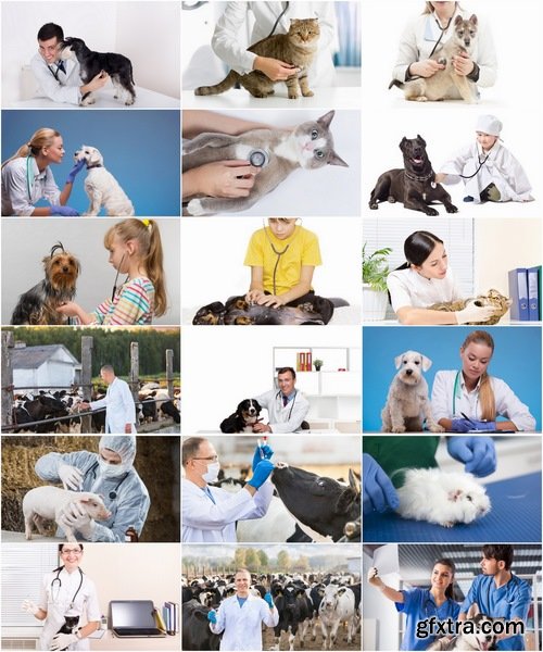 Collection of different veterinarian 25 HQ Jpeg