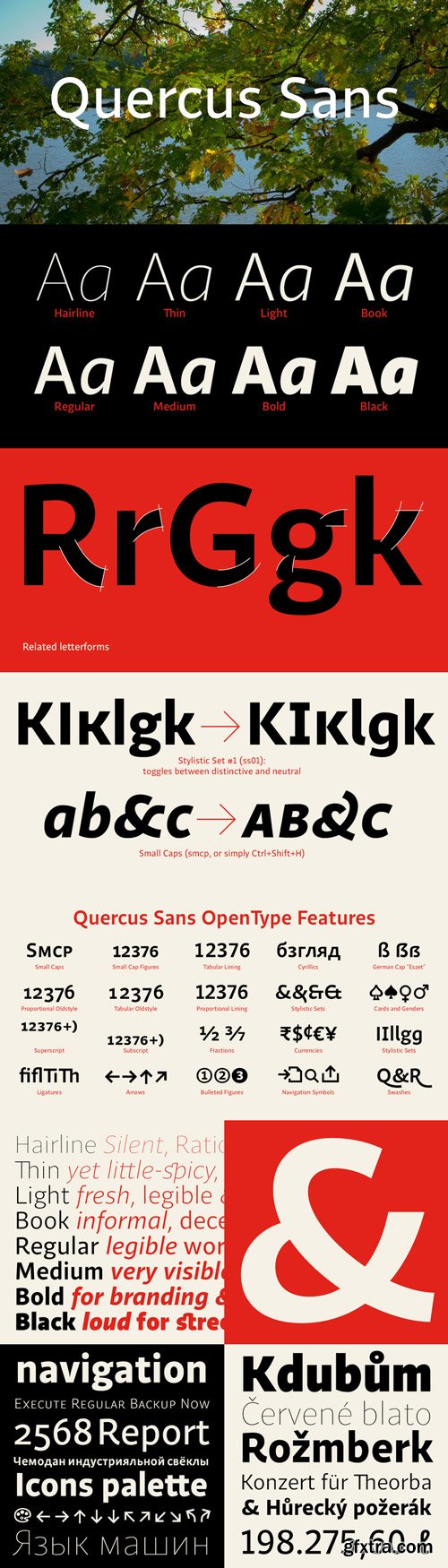 Quercus Sans Font Family $349