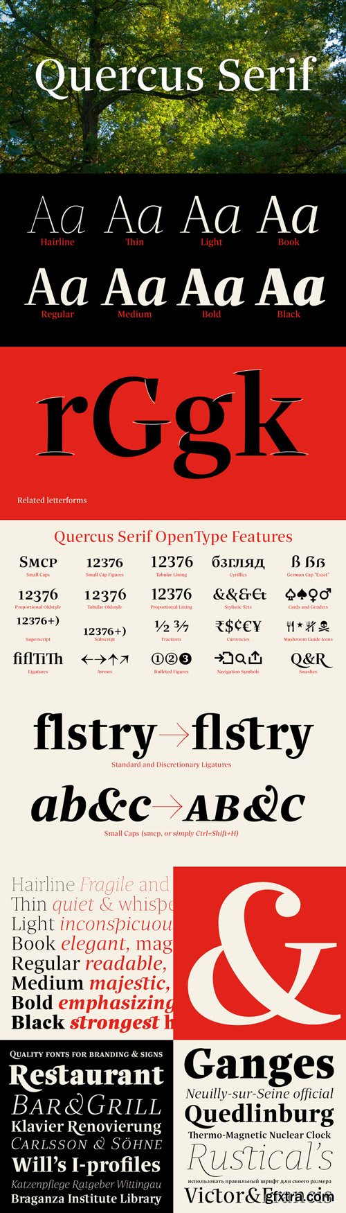 Quercus Serif Font Family $349