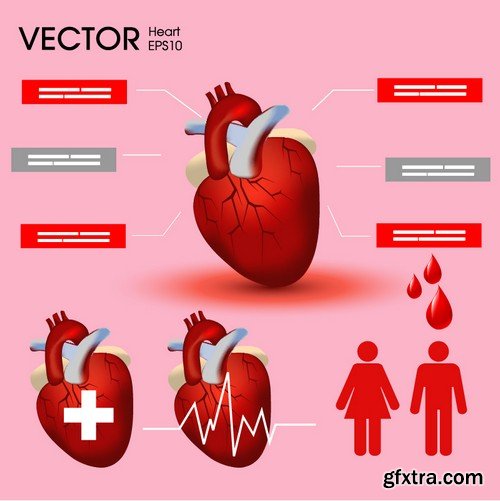 Stock Vectors - Medical Infographic 9, 25xEPS