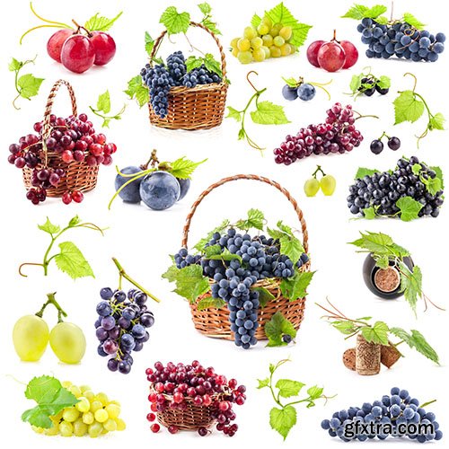 Fruits And Berries - 25x JPEG