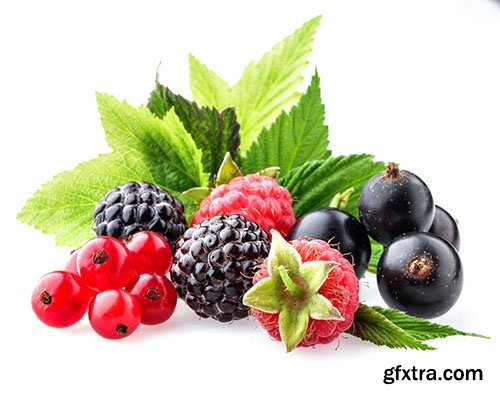 Fruits And Berries - 25x JPEG