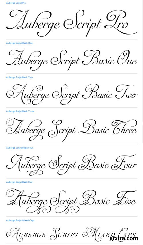 Auberge Script Font Family 7xOTF $225