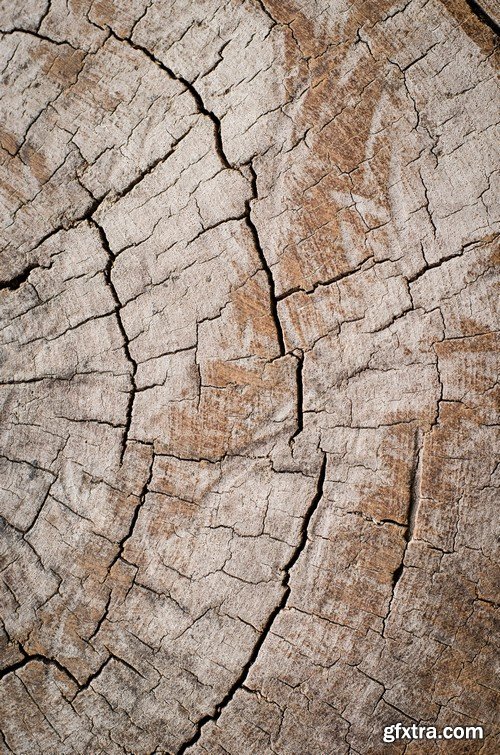 Stock Photos - Wood Textures 5, 25xJPG