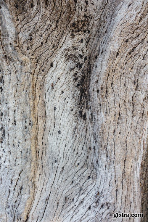 Stock Photos - Wood Textures 5, 25xJPG