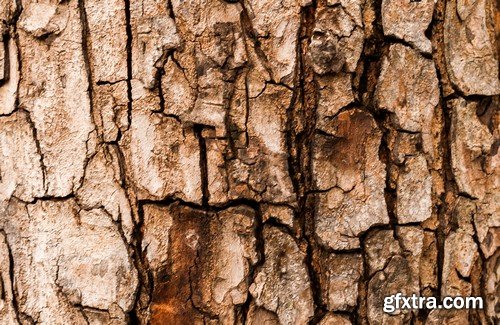 Stock Photos - Wood Textures 5, 25xJPG