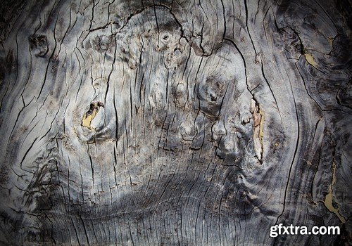 Stock Photos - Wood Textures 5, 25xJPG