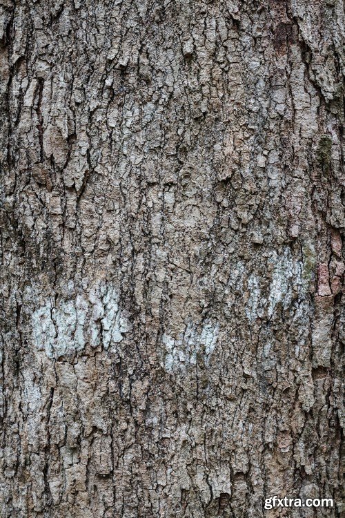 Stock Photos - Wood Textures 5, 25xJPG