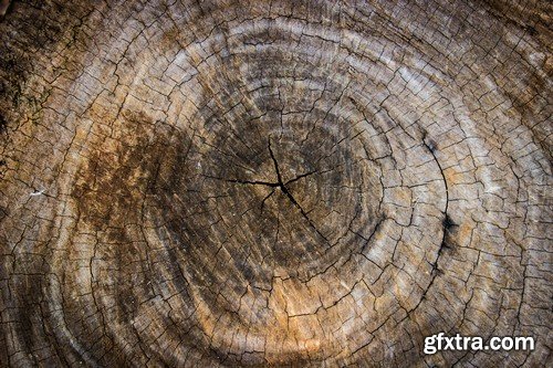 Stock Photos - Wood Textures 5, 25xJPG