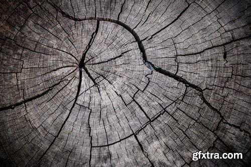 Stock Photos - Wood Textures 5, 25xJPG