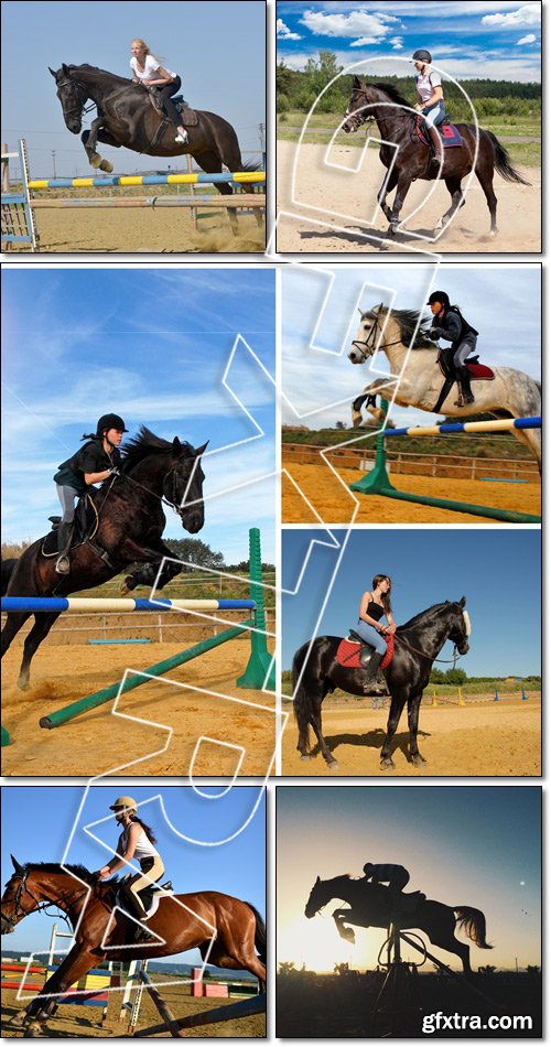 Equitation sportive, horse jumping, silhouette in sunset - Stock photo