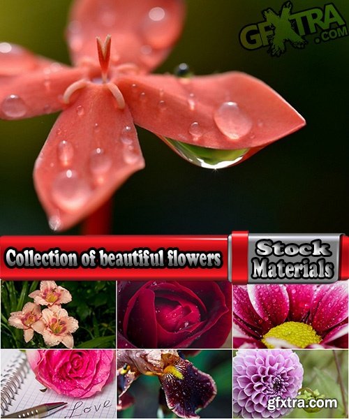 Collection of beautiful flowers #3-5 UHQ Jpeg