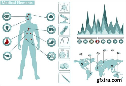 Stock Vectors - Human anatomy, 25xEPS