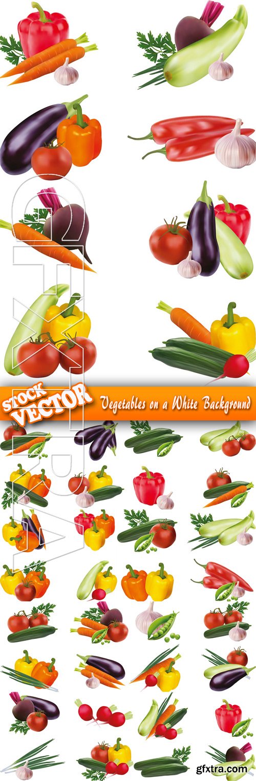 Stock Vector - Vegetables on a White Background