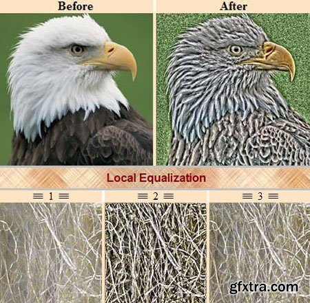 Local Equalization Plugin for Adobe Photoshop