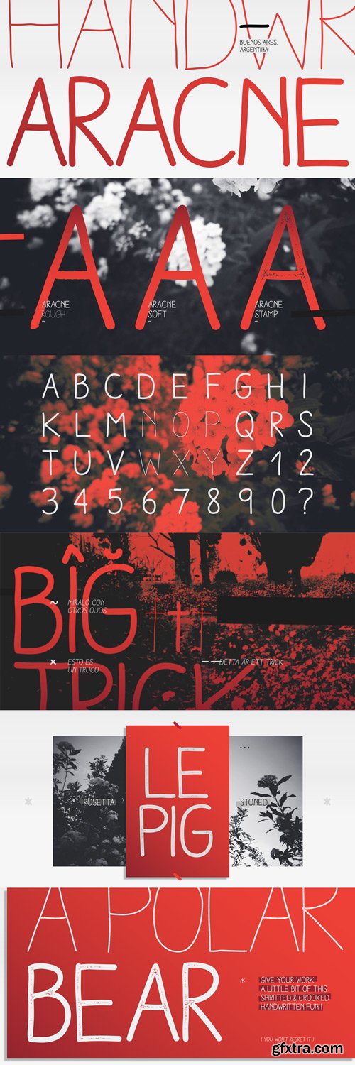 Aracne Font Family $151