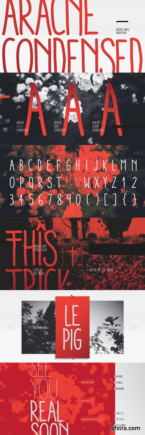 Aracne Condensed Font Family $151