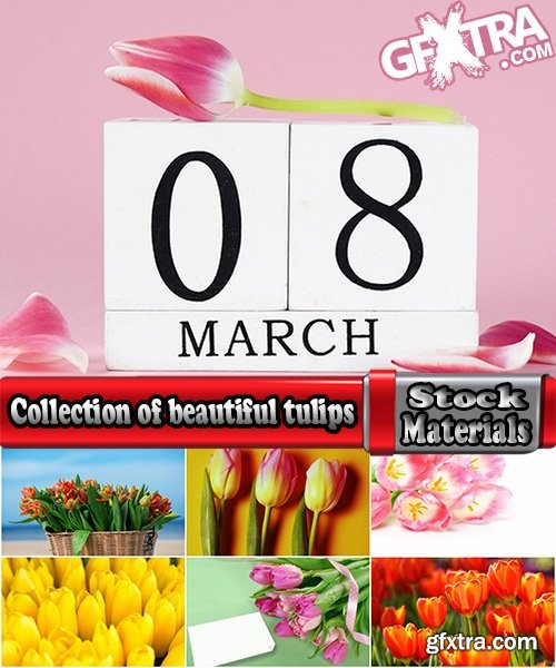 Collection of beautiful tulips 25 HQ Jpeg