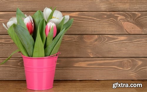 Collection of beautiful tulips 25 HQ Jpeg