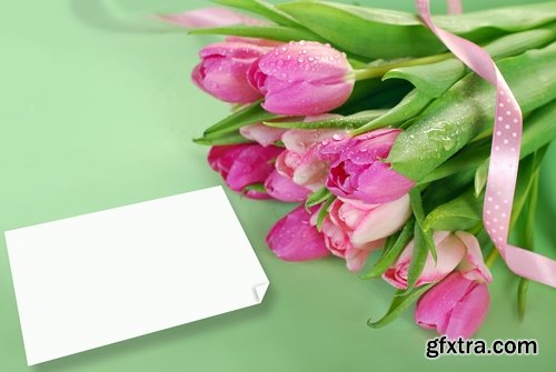 Collection of beautiful tulips 25 HQ Jpeg