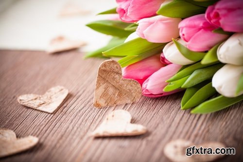 Collection of beautiful tulips 25 HQ Jpeg