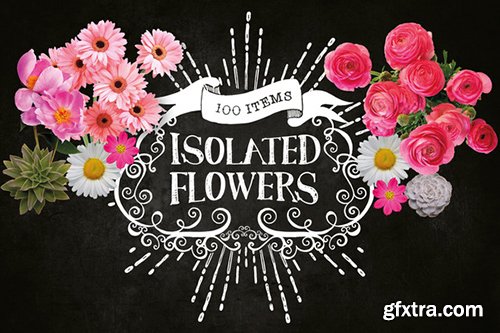 100 Isolated Flower Chalk Kit