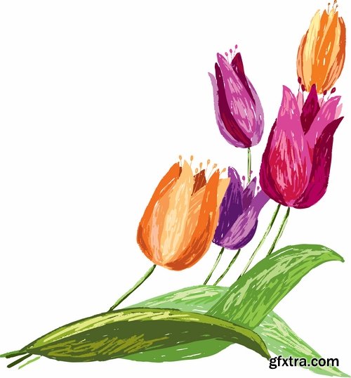 Collection vector image tulip 25 Eps