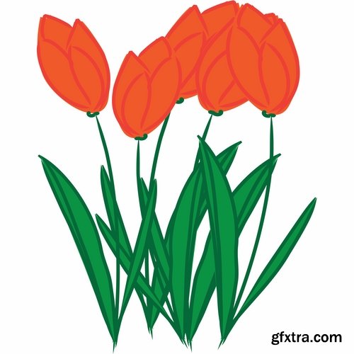 Collection vector image tulip 25 Eps