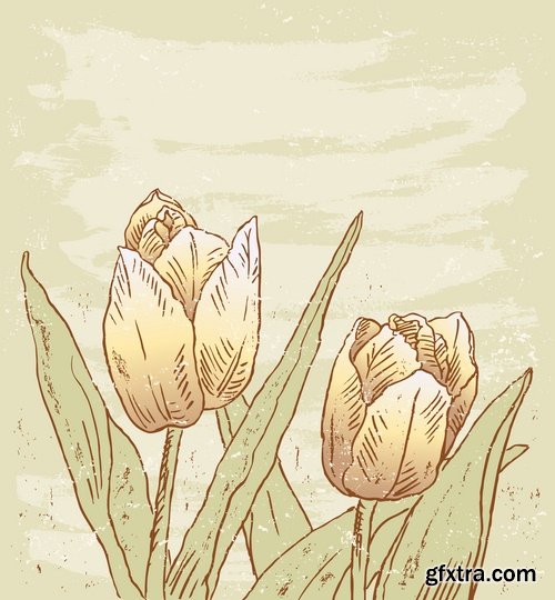 Collection vector image tulip 25 Eps