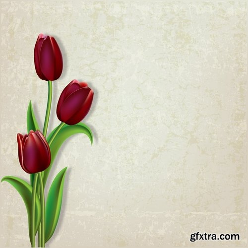 Collection vector image tulip 25 Eps