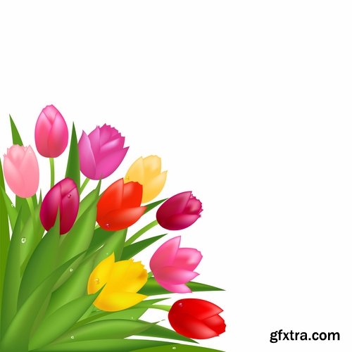 Collection vector image tulip 25 Eps