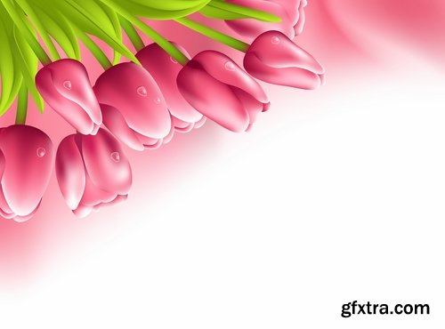 Collection vector image tulip 25 Eps