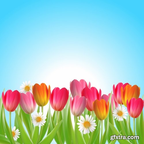 Collection vector image tulip 25 Eps