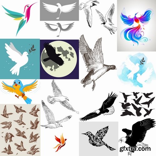 Collection picture vector flying bird 25 Eps