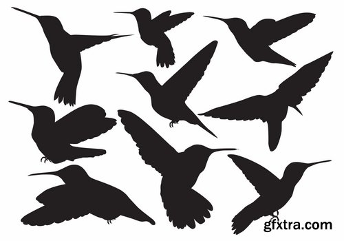 Collection picture vector flying bird 25 Eps